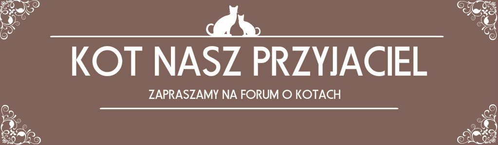 Forum Kot Nasz Przyjaciel Strona Gwna